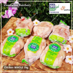 Chicken WHOLE ayam broiler utuh frozen SoGood Food size MEDIUM +/- 1 kg/pc (price/kg)